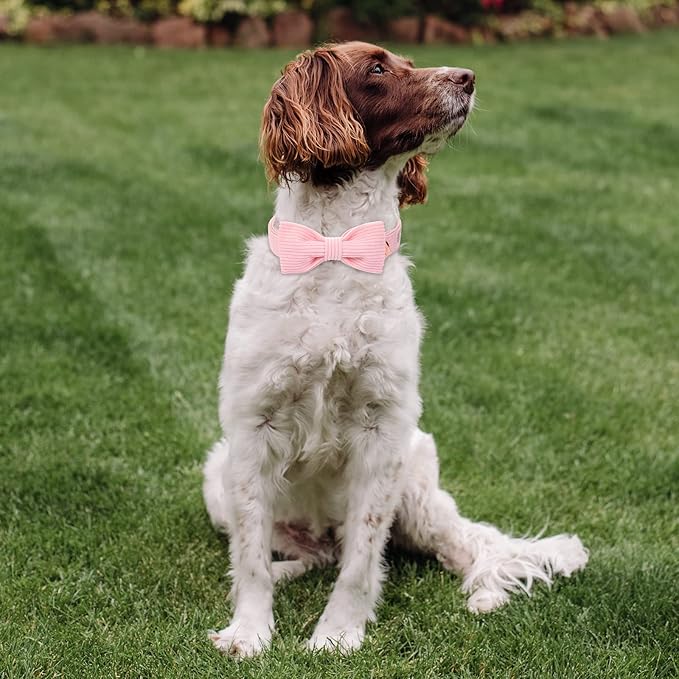 Pink Dog Collars for Small Dog,Cute Corduroy Dog Collar with Bow Tie Safety Metal Buckle Adjustable Puppy Collars for Small Medium Large Boy&Girl Dogs,S-Neck 10"-16"