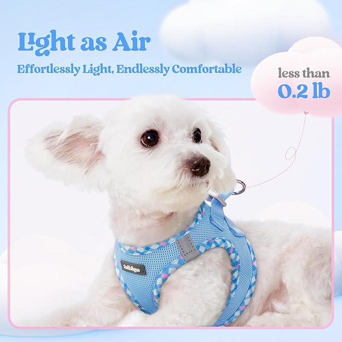 rabbitgoo Dog Harness Small Sized and Leash Set, Step in Soft Light Puppy Vest, Breathable Mesh Pet Harness, Reflective for Safe Easy Walking, Blue & Plaid Trim XXS