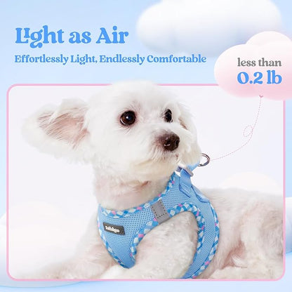 rabbitgoo Dog Harness Small Sized and Leash Set, Step in Soft Light Puppy Vest, Breathable Mesh Pet Harness, Reflective for Safe Easy Walking, Blue & Plaid Trim XS