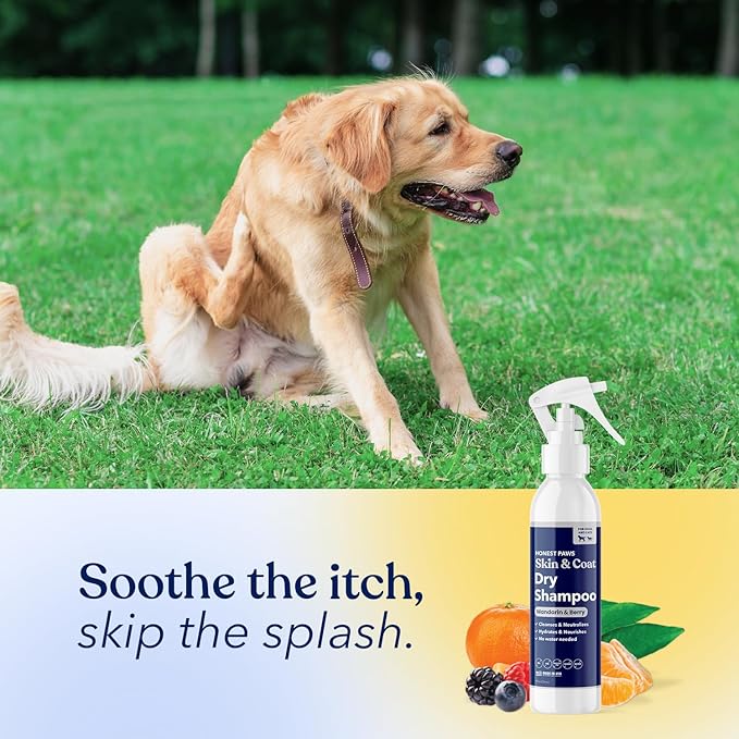 Honest Paws Dog Dry Shampoo - Waterless No Rinse Spray Formula Reducing Itch Cleanse Hydrate Nourish Dry Skin and Smelly Coat Help Decrease Odor Shedding and Allergies - Mandarin & Berry - 8 oz