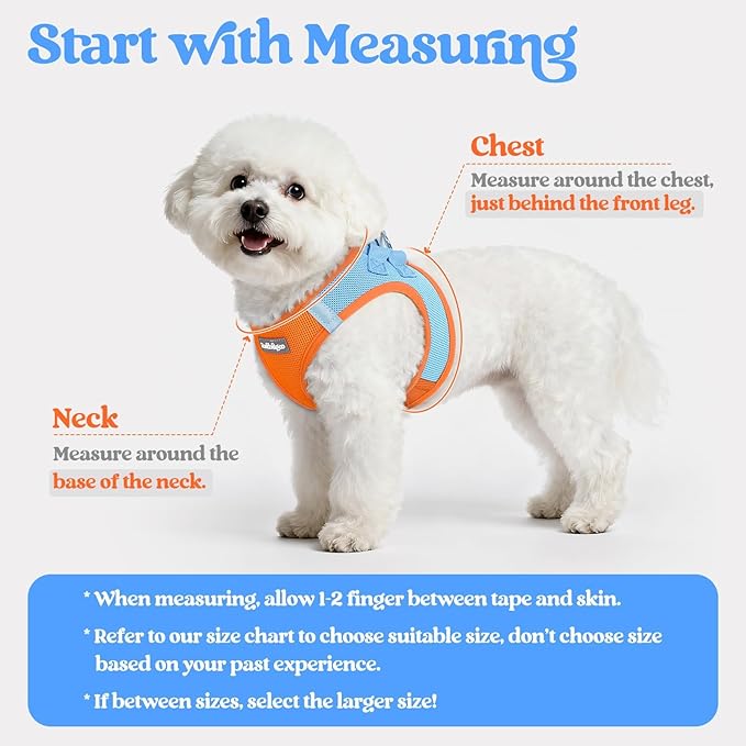 rabbitgoo Dog Harness Small Sized and Leash Set, Step in Soft Light Puppy Vest, Breathable Mesh Pet Harness, Reflective for Safe Easy Walking, Blue & Orange XS