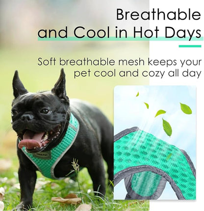 ThinkPet Reflective Breathable Soft Air Mesh No Pull Puppy Choke Free Over Head Vest Ventilation Harness for Puppy Small Medium Dogs and Cats(XS,Green)