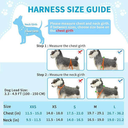 Lukovee No Pull Dog Harness and Leash Set, Soft Padded Small Dog Harness, Neck & Chest Adjustable Reflective Vest Puppy Harness with 4ft Lightweight Anti-Twist Dog Leash for Small Dogs (S, Green)