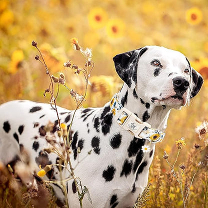 Elegant little tail Dog Collar,Sunflower Pattern Pet Collar Cute Durable Spring Female or Male Adjustable Cotton Pet Collar with Quick Release Buckle for X-Small Puppy