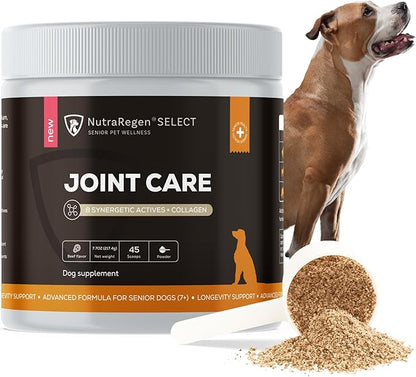 NutraRegen Select Senior Dog Joint Supplement 45 Scoops | Natural Glucosamine Chondroitin for Dogs with Collagen | Hip and Joint Powder | 7.7 Oz