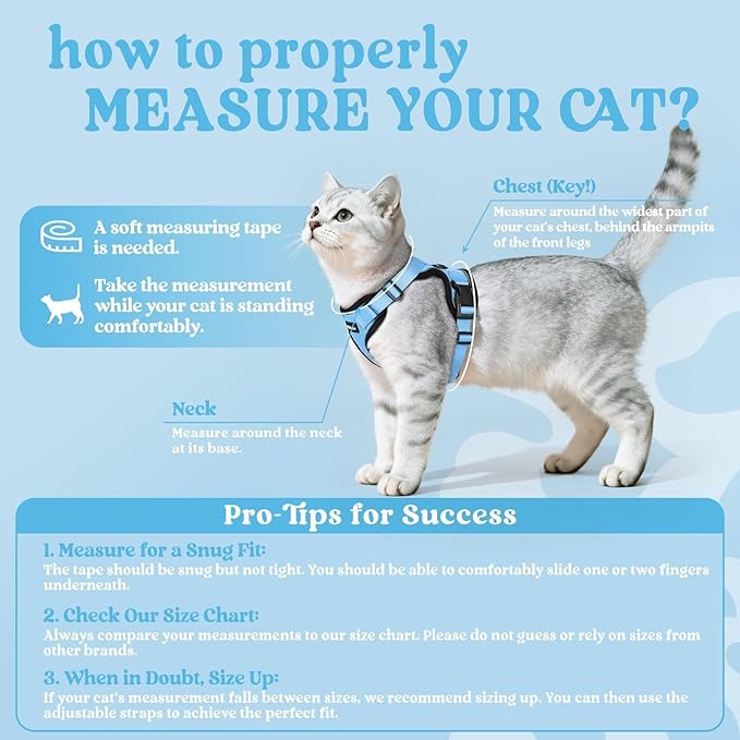 rabbitgoo Cat Harness and Leash for Walking, Escape Proof Soft Adjustable Vest Harnesses for Cats, Easy Control Breathable Reflective Strips Jacket, Light Blue,M