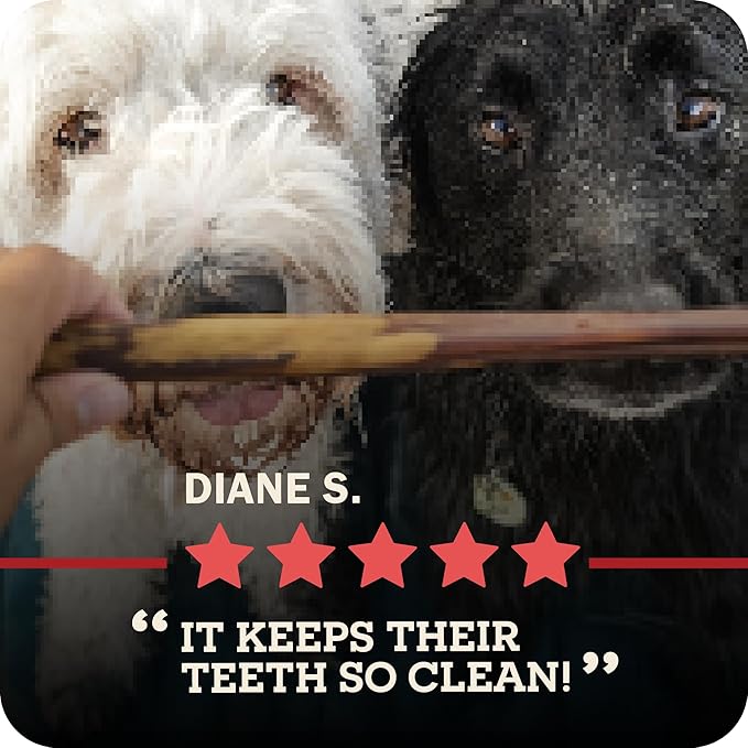 Redbarn Pet Products 12" Braided Bully Sticks for Dogs, Pack of 25