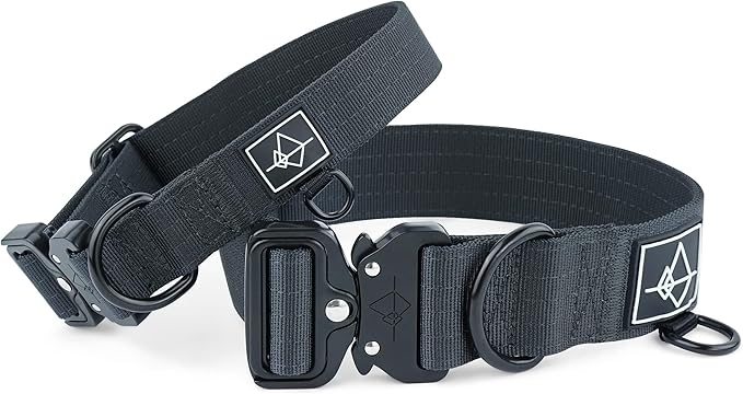 Made to ROAM Premium Dog Collar - Adjustable Heavy Duty Nylon Collar with Quick-Release Metal Buckle (New York Afterlight, Classic Size 1)