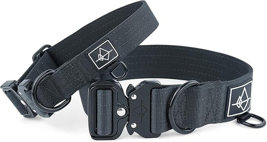 Made to ROAM Premium Dog Collar - Adjustable Heavy Duty Nylon Collar with Quick-Release Metal Buckle (New York Afterlight, Classic Size 0)