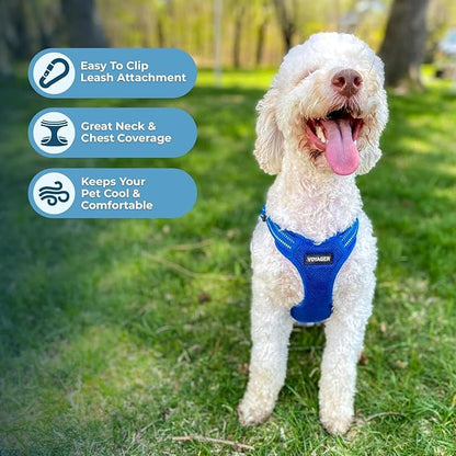 Best Pet Supplies Voyager Adjustable Step-In Flex Breathable Mesh Dog Harness for Small Medium Large Dogs (Royal Blue), S