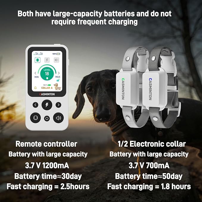 CASMINTON Shock Collar for 2Dogs [CRS01Pro]126 Training Levels, 4 Powerful Modes With 2.8-inch LCD high-definition display100% Safe Training Collar for Large Medium Small Dogs IPX7 Waterproof E Collar