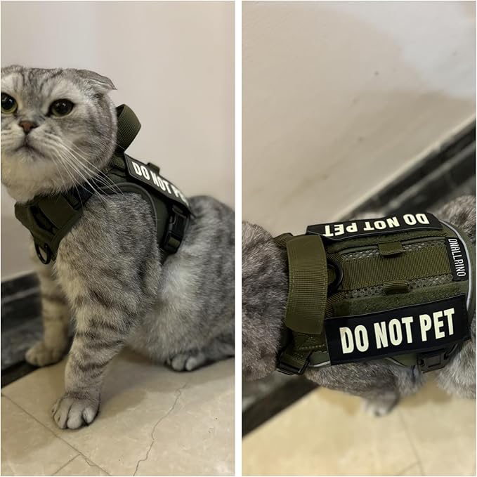 Tactical Dog and Cat Harness for XS and Small Puppy, Air Pet Vest No Pull with Reflective Do Not Pet Patches, Breathable Dog Molle Vests for Training Walking Hunting Green