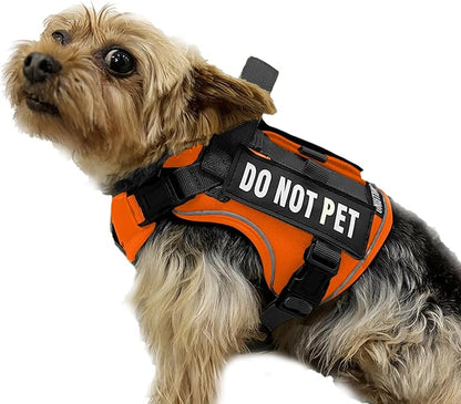 Tactical Dog and Cat Harness for XS and Small Puppy, Air Pet Vest No Pull with Reflective Do Not Pet Patches, Breathable Dog Molle Vests for Training Walking Hunting Orange