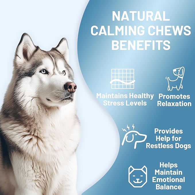 Noble Beast Dog Hemp Calming Chews - Melatonin for Dogs - Dog Calming Treats - Motion Sickness for Dogs - All Natural - Soft Chews with Hemp and Melatonin - Chicken Flavor -120 Count
