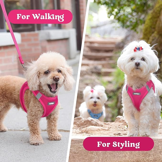 rabbitgoo Small Dog Harness, Step-in Soft Mesh Puppy Vest with Safety Buckle, Breathable Reflective Pet Harness for Small Sized Dogs, Rose Red M