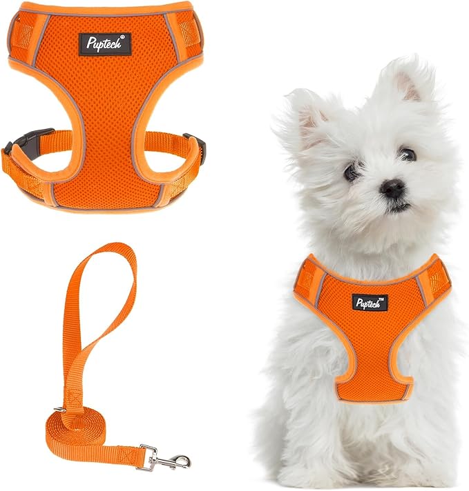 PUPTECK Small Dog Harness and Leash Set, No Pull Adjustable Puppy Cat Harness, Reflective Soft Mesh Pet Vest Small Sized, Orange, S