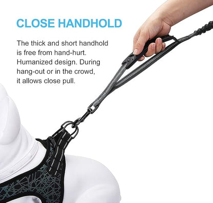 LEADSOM 6FT Highly Reflective Heavy Duty Elastic Bungee Medium and Large Dog Leash Shock Absorbing with Comfortable Padded Handle and Traffic Handle Suitable for Training Grey