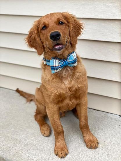 Lionet Paws Boy Dog Collar with Bowtie, Comfortable Adjustable Cute Blue Plaid Bow Tie Collar for Male Dogs Gift, Small, Neck 10-16 inches