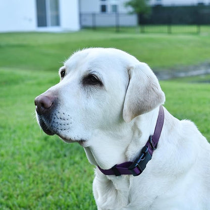 Dogline Biothane Waterproof Dog Collar with Quick Release Buckle Strong Coated Nylon Webbing with Odor- Proof for Easy Care Easy to Clean Fits Small Medium Large Dogs, Purple 3/4" W 12-19" L