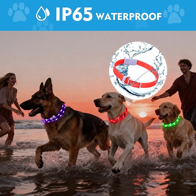 Lighted Dog Collar, Rechargeable Light Up Pet Collar, Waterproof LED Dog Collar Glow in The Dark, Make Pet Visible and Safety for Night Walking for Small Medium Large Dogs (Red)