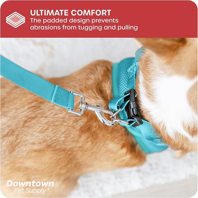 Downtown Pet Supply Step-in Dog Harness – No Pull, Adjustable Padded Mesh with Reflective Trim, Secure Buckle Strap – Comfortable & Breathable Small Dog Harness, XX-Small, Light Blue