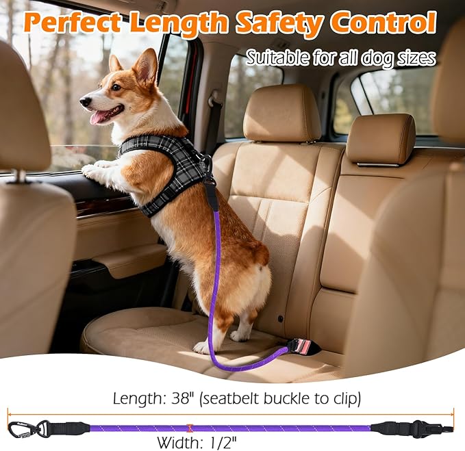 PetBonus Dog Seat Belt for Car, Durable Rope Dog Car Harness Seatbelt for Vehicle, Pet Tether Safety Restraint with Heavy Duty Buckle Hook Latch Lockable Clip for Small Medium Large Breeds (Purple)