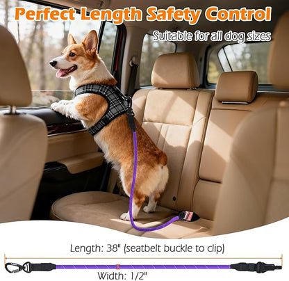 PetBonus Dog Seat Belt for Car, Durable Rope Dog Car Harness Seatbelt for Vehicle, Pet Tether Safety Restraint with Heavy Duty Buckle Hook Latch Lockable Clip for Small Medium Large Breeds (Purple)