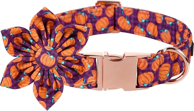 Lionet Paws Dog Collar with Flower, Halloween Flower Collar for Dog,Adjustable Comfortable Dog Collar Gift for Puppy Small Medium Large Dog