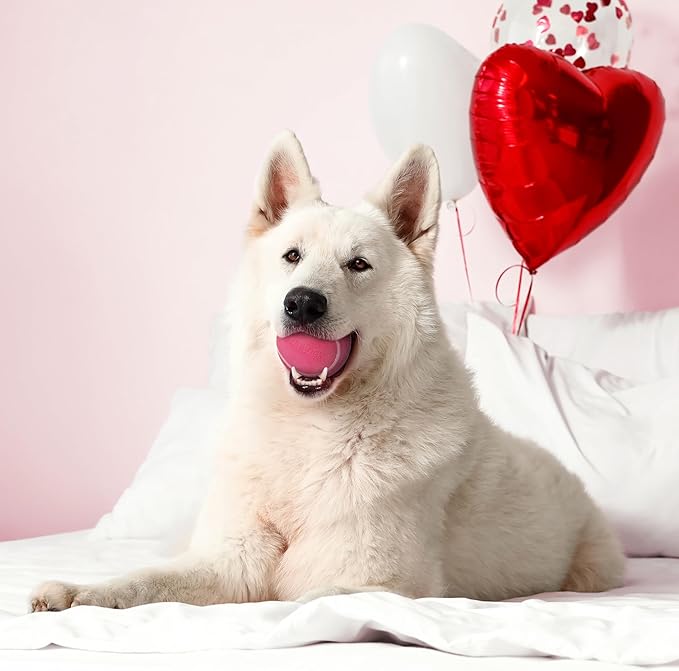 Playology Dog Toys | Squeaky Chew Ball - Bouncy Durable Floating Fetch Ball for Dogs | Jumbo Red Velvet Cake Limited Edition Valentine's Toy - Easy to Clean and Made from Non Toxic Materials