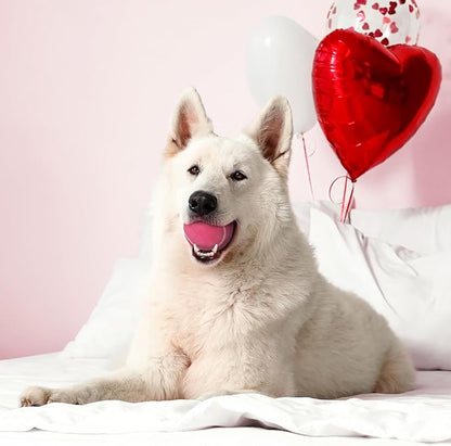 Playology Dog Toys | Squeaky Chew Ball - Bouncy Durable Floating Fetch Ball for Dogs | Jumbo Red Velvet Cake Limited Edition Valentine's Toy - Easy to Clean and Made from Non Toxic Materials