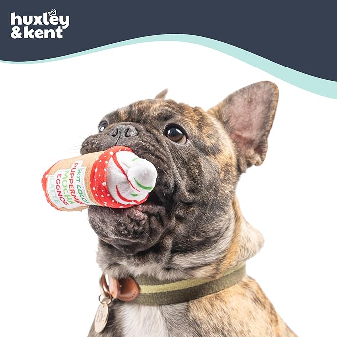Huxley & Kent Funny Dog Toy w/Squeaker – Holiday Power Plush Squeaky Dog Toys for Small Dogs – Durable Small Stuffed Animal for Indoor Play & Fetch - Tiny Tuff Latte My Way