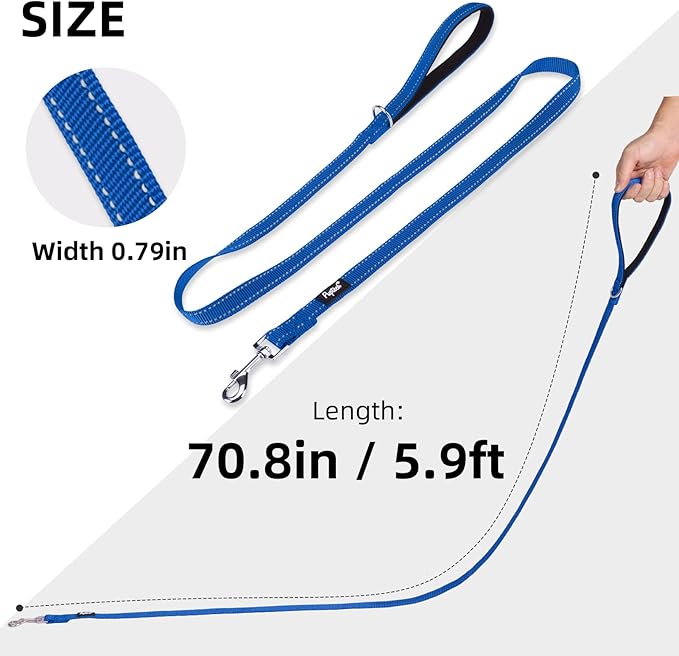 PUPTECK Reflective Dog Leash with Comfortable Padded Handle Durable Nylon Dog Lead for Small Medium and Large Dogs Cats Walking Running Training Outside, Blue