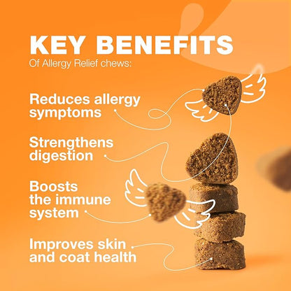 Dog Allergy Relief Chews - Itch Relief for Dogs - Allergy Chews for Itching Skin with Hemp Seed Oil, Turmeric, Quercetin - Immune Health Support Treats - Hot Spots - Skin and Coat Health