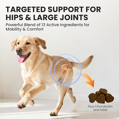 Furry Armor Dog Hip and Joint Supplement with Glucosamine & Chondroitin - Supports Mobility & Pain Relief for Senior & Large Dogs - 180 Soft Chews