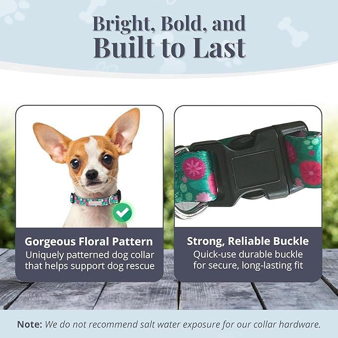 Lucky Love Dog - Adjustable Dog Collar with Easy Click Buckle for Small Dogs, Durable, & Comfortable for Male & Female Dogs, Pet Collar for Puppies & Adult Ones - Penny, XS