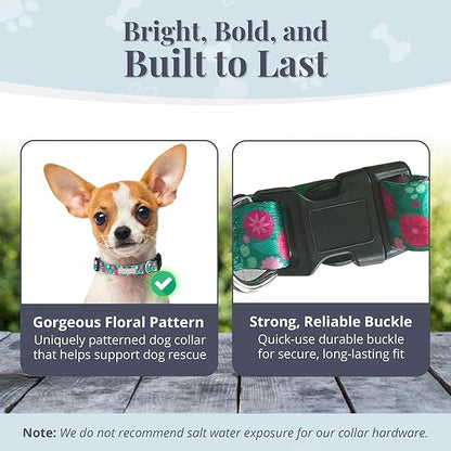 Lucky Love Dog - Adjustable Dog Collar with Easy Click Buckle for Small Dogs, Durable, & Comfortable for Male & Female Dogs, Pet Collar for Puppies & Adult Ones - Penny, XS