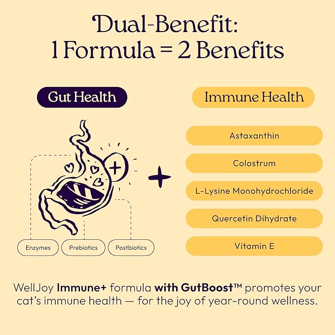 New! WellJoy Cat Supplement Immune+ GutBoost | Cat Health Supplement | Enhances Immune Response | Dual-Benefit GutBoost Formulation | Vet Formulated | Made in USA | Chicken Flavor | 90 Soft Chews