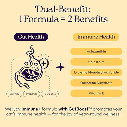 New! WellJoy Cat Supplement Immune+ GutBoost | Cat Health Supplement | Enhances Immune Response | Dual-Benefit GutBoost Formulation | Vet Formulated | Made in USA | Chicken Flavor | 90 Soft Chews