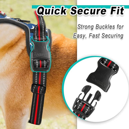 BARKBAY Dog Harness No Pull for Small Dogs - Adjustable, Reflective, Comfortable, No Choke, Heavy-Duty - Perfect for Outdoor Training, Walking, and Hiking - Strong & Durable - XS & Star