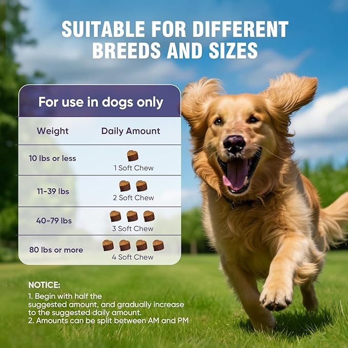 Glucosamine for Dogs 200pcs Joint Support Supplement Dog Hip and Joint Chondroitin Chews Treats with MSM Hemp Dog Joint Pain Relief Mobility Supplements Bacon Flavor Fit All Large Small Medium Breed