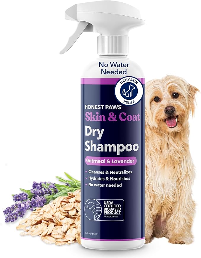 Honest Paws Dog Dry Shampoo - Waterless No Rinse Spray Formula Reducing Itch Cleanse Hydrate Nourish Dry Skin and Smelly Coat Help Decrease Odor Shedding and Allergies - Oatmeal & Lavender - 16 oz