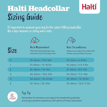 Halti Headcollar - Stop Your Dog Pulling on The Leash. Adjustable, Reflective and Lightweight, with Padded Nose Band. Dog Training Anti-Pull Collar for Large Dogs (Size 4, Red)