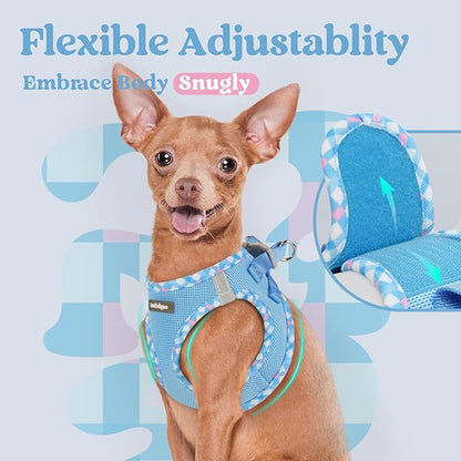 rabbitgoo Small Dog Harness, Step-in Soft Mesh Puppy Vest with Safety Buckle, Breathable Reflective Pet Harness for Small Sized Dogs, Blue & Plaid Trim S
