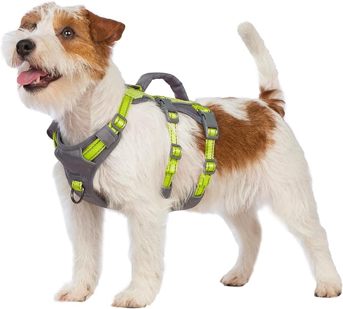 Huntboo Reflective Dog Harness with Handle, Escape Proof, No Slip, Breathable, Lightweight, Adjustable Lift Harness for Small,Medium,and Large Dogs Walking, Training, and Running Gear(Bright Green,XS)