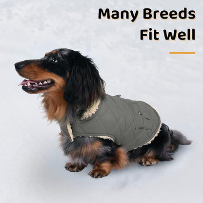 Queenmore Dog Winter Coat - Fleece Jacket, Waterproof Cold Weather Clothes, Thick Warm Cotton Padding, Easy On Storage Pockets (Grey, X-Large)
