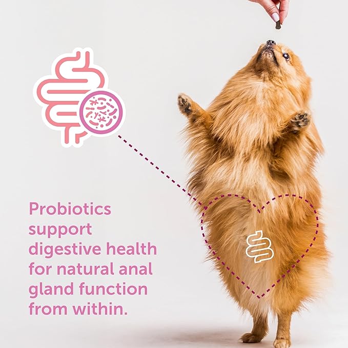 Gland-Ease Dog Canine Chews (for Small Dogs)