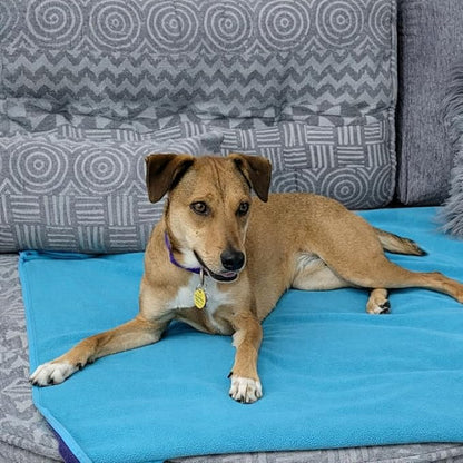 Premium Deluxe 100% Waterproof Blanket Guarantees to Keep Your Bed Dry! Crinkle-Free Ultra-Soft Fleece Furniture Protector for People Kids Pets. EZ Wash/Dry Purple/Blue Reversible 80x60
