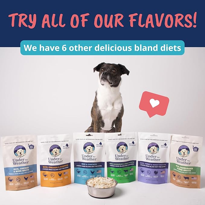 Under the Weather Bland Diet for Dogs | Easy to Digest Stomach Support for Sick Dogs | Contains Electrolytes, All Natural | 1 Pack - Turkey, Oatmeal, Sweet Potato & Slippery Elm - 6oz