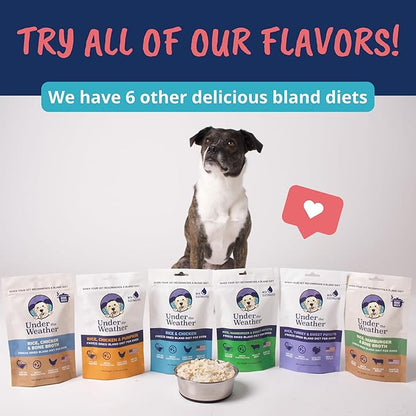 Under the Weather Bland Diet for Dogs | Easy to Digest Stomach Support for Sick Dogs | Contains Electrolytes, All Natural | 1 Pack - Turkey, Oatmeal, Sweet Potato & Slippery Elm - 6oz