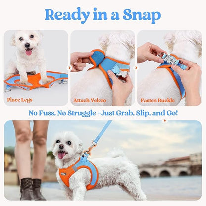 rabbitgoo Dog Harness Small Medium Sized and Leash Set, Step in Soft Light Puppy Vest, Breathable Mesh Pet Harness, Reflective for Safe Easy Walking, Blue & Orange L